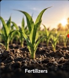 Fertilizers